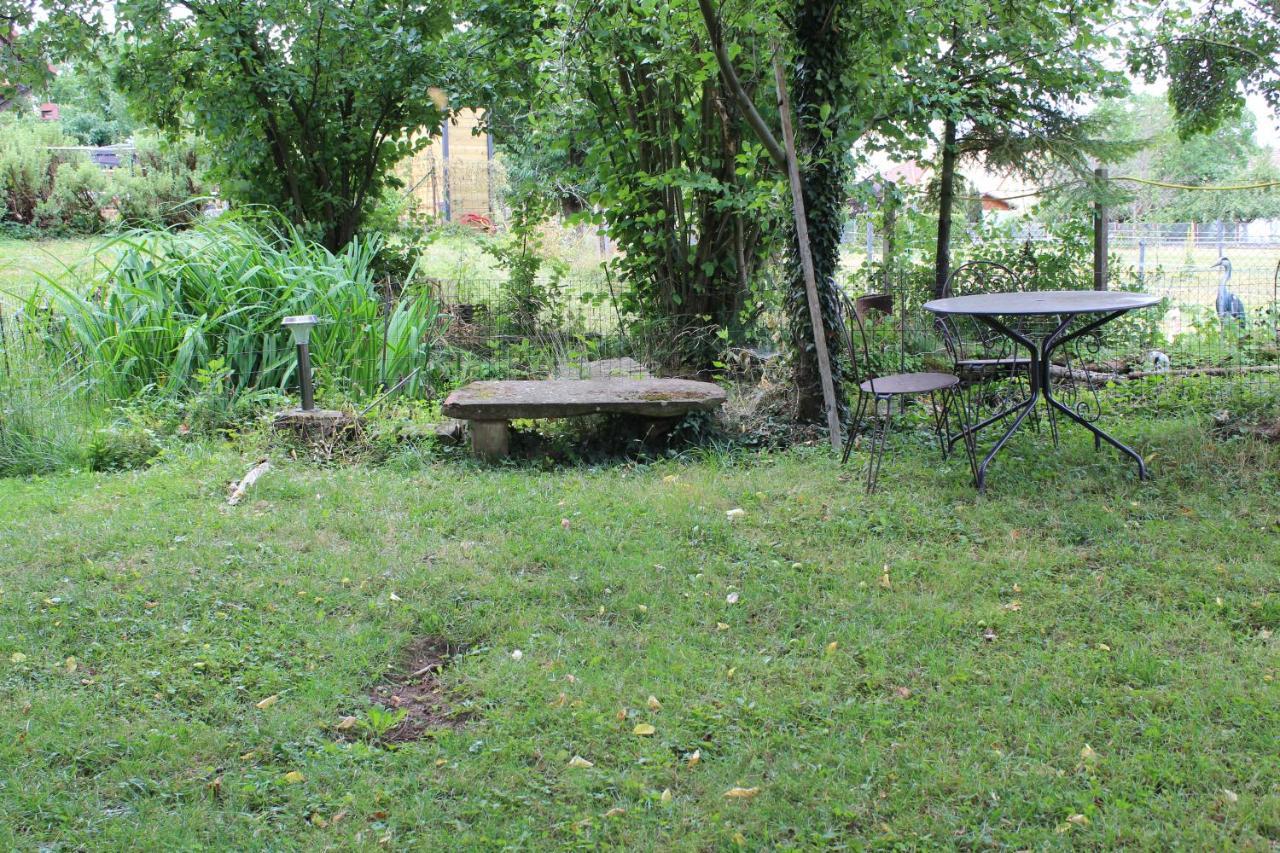 Gites Riviere Et Colline Niedermodern Buitenkant foto